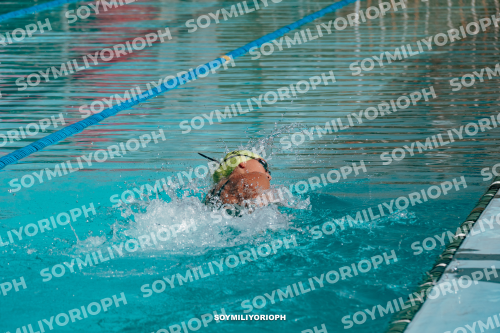 Image DSC02842