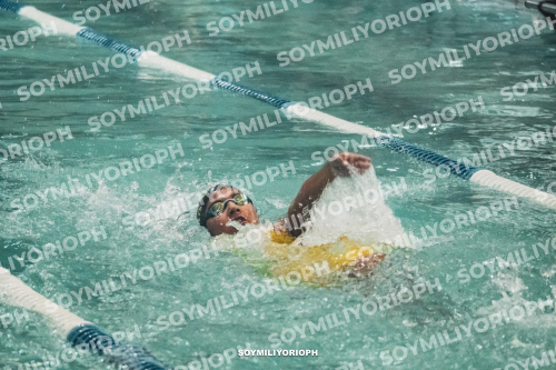 Image DSC06120
