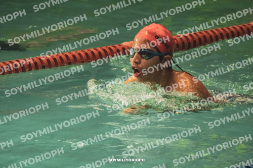 Image DSC07078