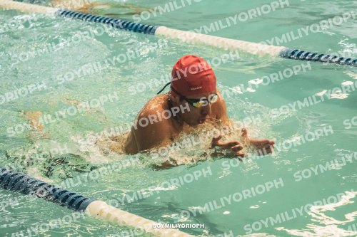 Image DSC07097