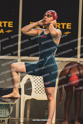 Image DSC07882