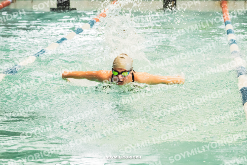 Image DSC07482